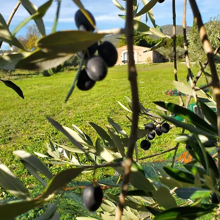 Reve En Luberon *