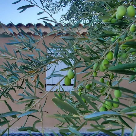 Reve En Luberon * Lauris